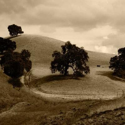 Budget Gaming Setup: $500 vs $5,000