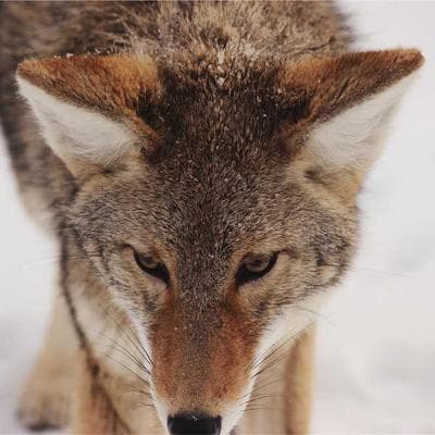 10-Minute Morning Yoga for People Who Hate Yoga